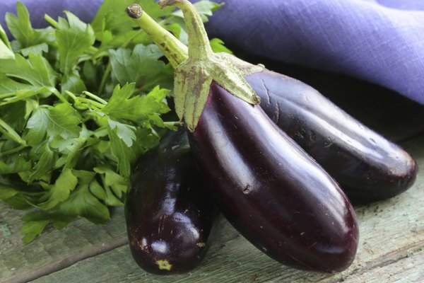ripe purple eggplant