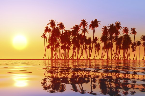 Islas Fiyi.