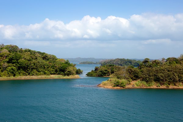 Shore of the Panama canal.