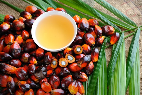Los críticos comentan que el precio del aceite de palma lo torna inaccesible!