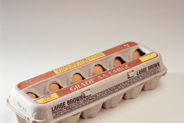 Un segmento de una caja de cartón de huevos puede ser un excelente esqueleto para tu campera acolchada.