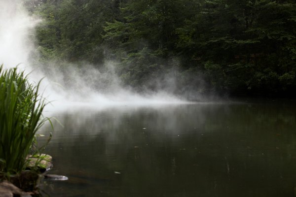 La píntura de niebla requiere pigmento blanco.