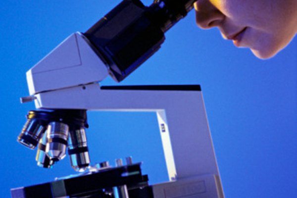 Los científicos usan microscopios para estudiar los diferentes tipos de cristales de osazonas.