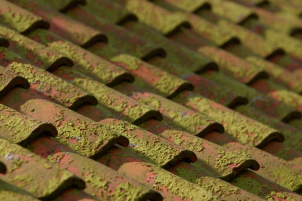 Los listones se utilizan en cada curso de techos de terracota.
