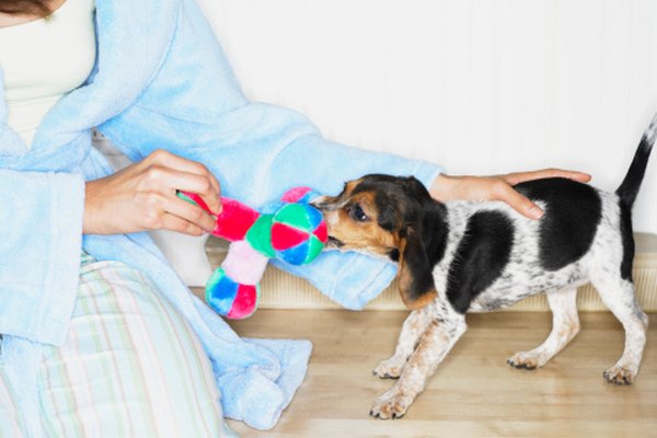 El polar se puede usar para hacer juguetes de peluche para mascotas y niños.