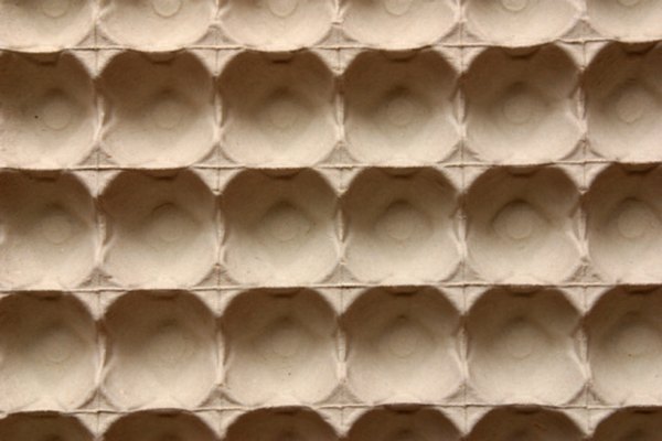 Los cartones de huevos pueden inspirar una variedad de artesanías de hormigas.