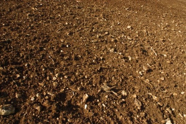 Hay tres clases de texturas de suelo: arena, limo y arcilla.