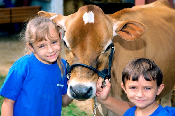 Fun Facts About Farm Animals For Preschoolers