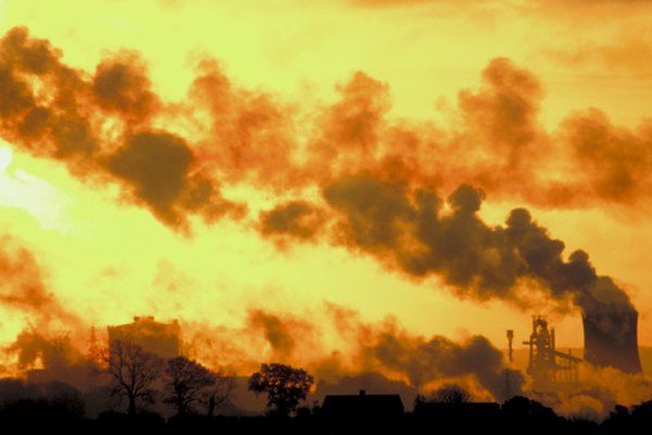 La contaminación ambiental puede dañar el medioambiente al contaminar las reservas de alimentos, lo cual causa problemas de salud y destruye hábitats naturales.