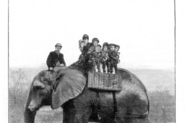 A los elefantes siempre se los relacionó con los circos.