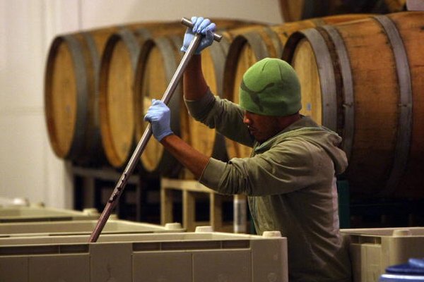La fermentación llevada a cabo por la levadura durante la producción de vino es una forma de resperiación anaeróbica.