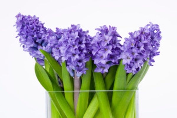 Las flores artificiales se ven realistas con el relleno líquido en el florero.