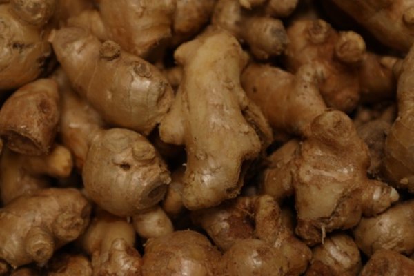 La raíz de jengibre tiene una larga historia como hierva medicinal y culinaria.