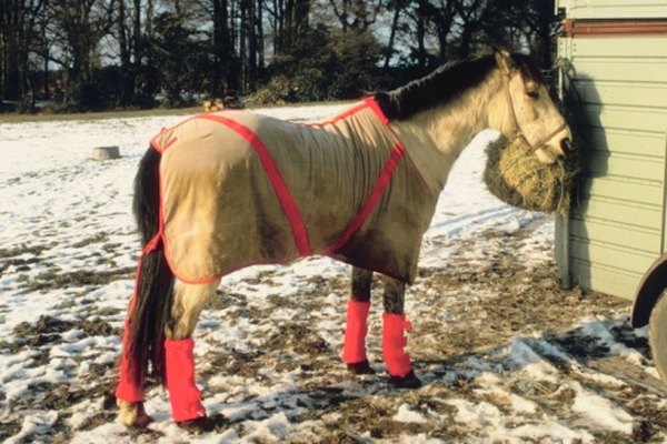 Las mantas para caballo mantienen al animal limpio y cálido.