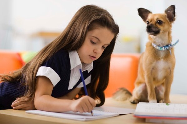 Enseñar a los niños a escribir cartas mejora sus habilidades de alfabetización.