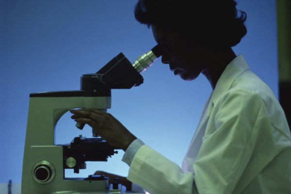 El microscopio óptico compuesto se usa comúnmente en la enseñanza y la investigación.