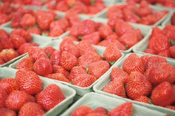 El proceso de maduración se detiene una vez que coseches las fresas.