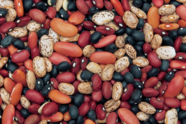 Una rica variedad de granos coloridos y nutritivos están disponibles para cocinar en casa.