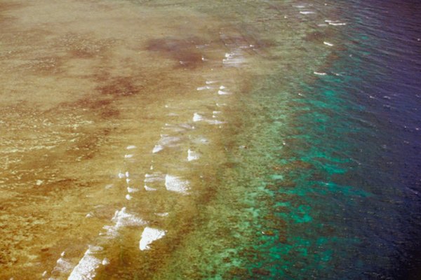 La gran Barrera de Coral de Australia es el arrecife de coral más grande del mundo.