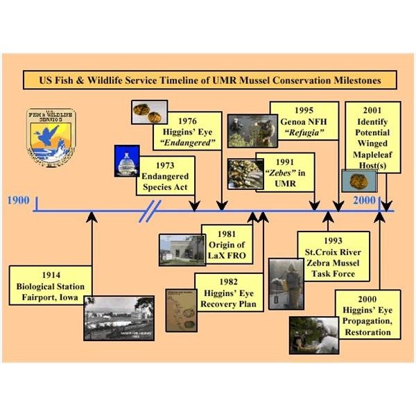 making-a-timeline-synonym