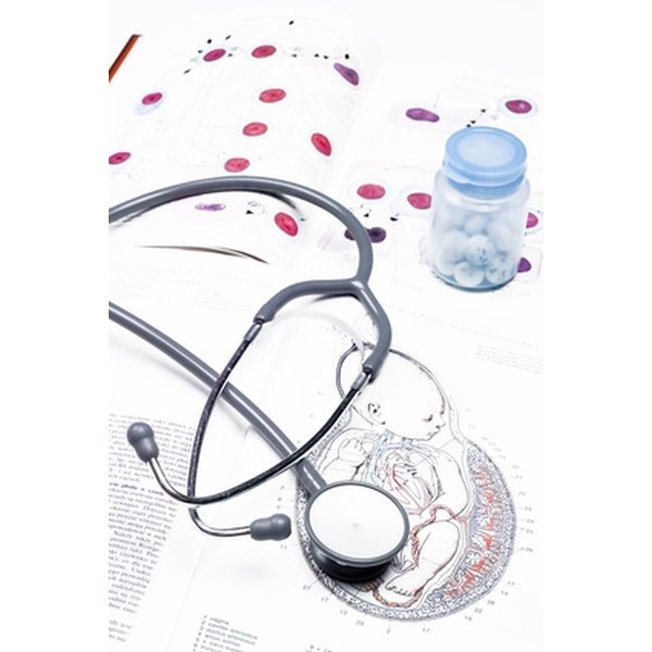 Best Pre Med Colleges >> Top Colleges With Medical Programs in Georgia & Alabama ... Best Pre Med Colleges >> Top Colleges With Medical Programs in Georgia & Alabama ...