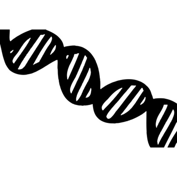 biological research paper vegas shooting