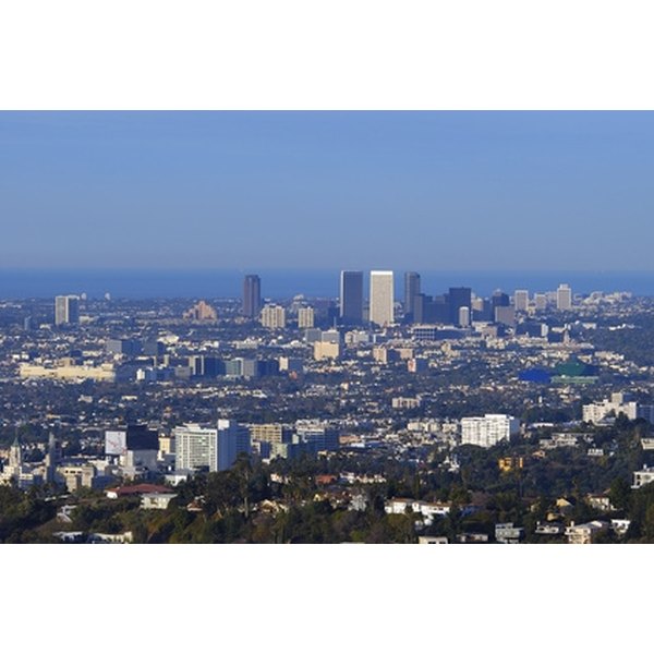 Lapd essay questions