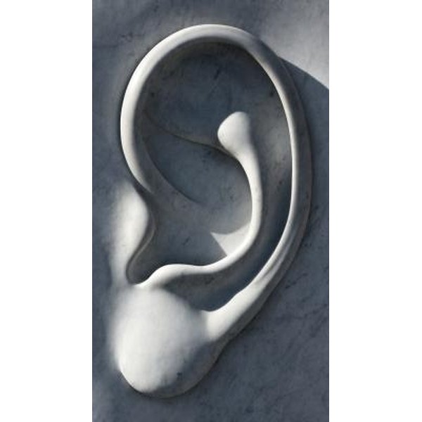 Four types of listeners synonym