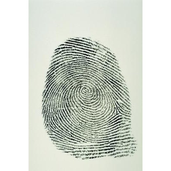 how-to-explain-fingerprints-to-children-synonym