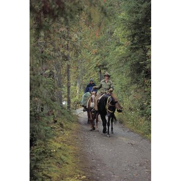 park-ranger-schools-synonym