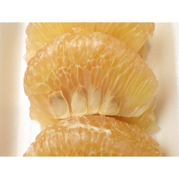 grapefruit seed extract parasites