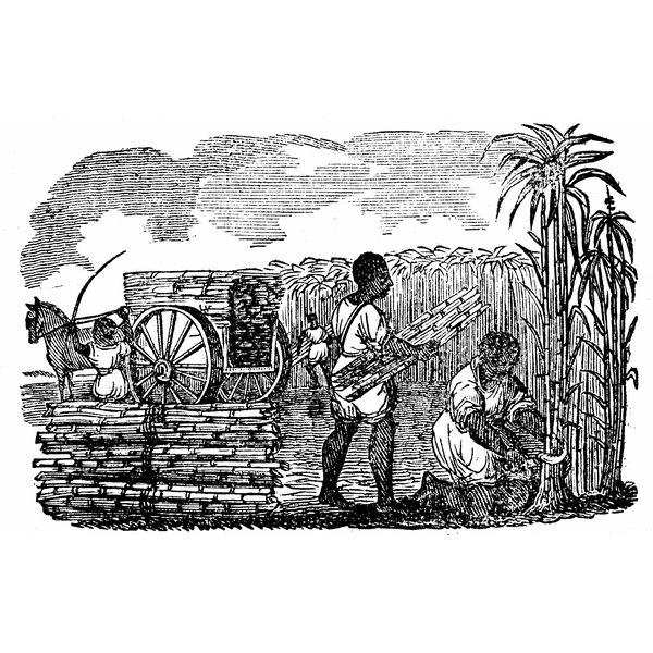 What Was The First American Built Slave Ship Synonym what-was-the-first-american-built-slave-ship-synonym