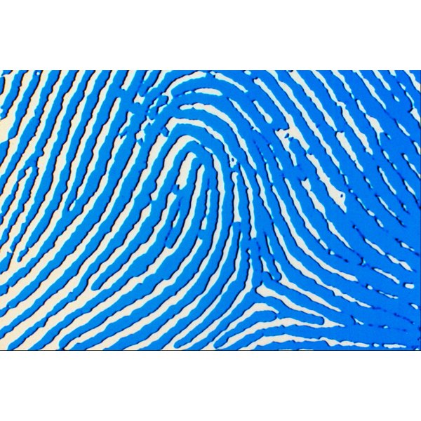 Fingerprint Analysis Projects for Kids | Synonym