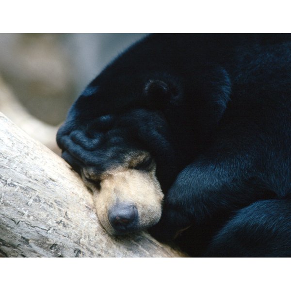 hibernate synonym hibernate synonym