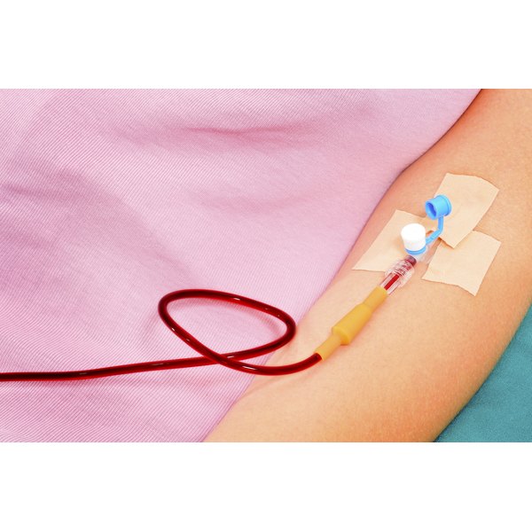 requirements to donate plasma in idaho