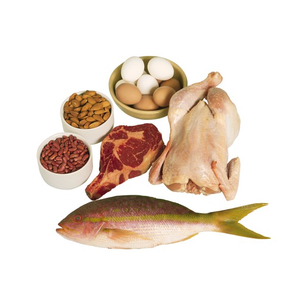 Fish Meat And Eggs Are Rich In Carbohydrates