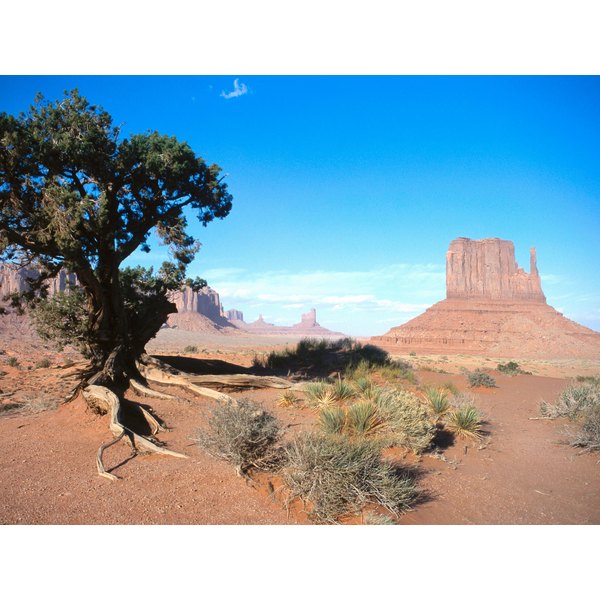 Weapons Used By The Navajo Indians Long Ago Synonym