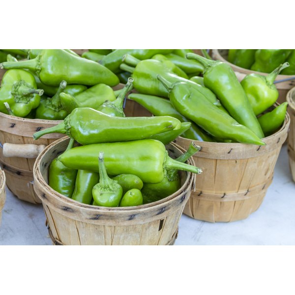 green-chile-nutrition-healthfully