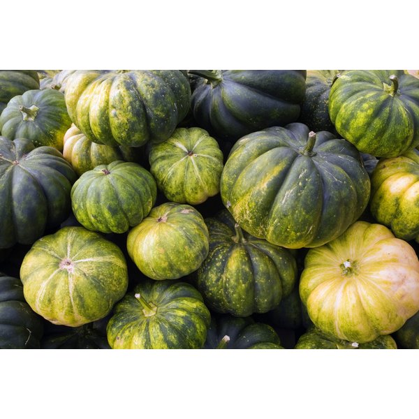 Nutrition In Calabaza Squash Our Everyday Life