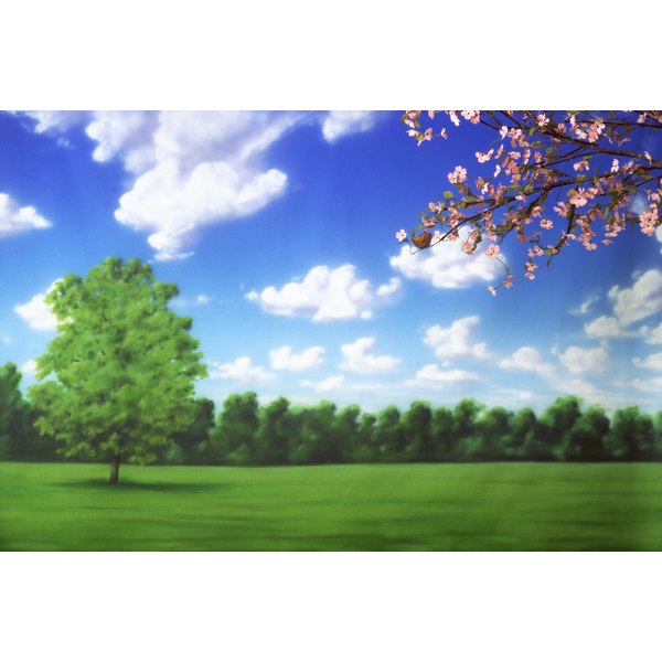 Sense of place essay