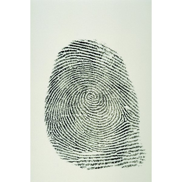 How to Explain Fingerprints to Children Synonym