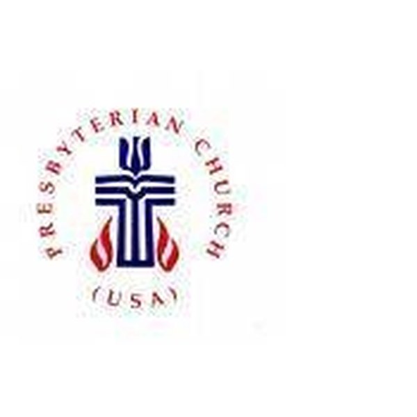 presbyterian minister ordained become