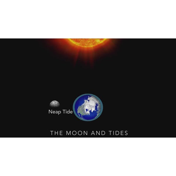 What Kind Of Tides Occur When The Moon And Sun Are At Right Angles Synonym 0510