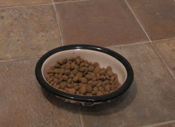 Bowl of Iams