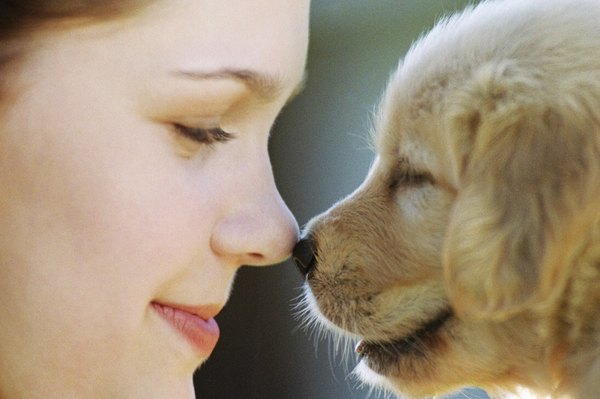 Consistency and positive reinforcement equal successful socialization.