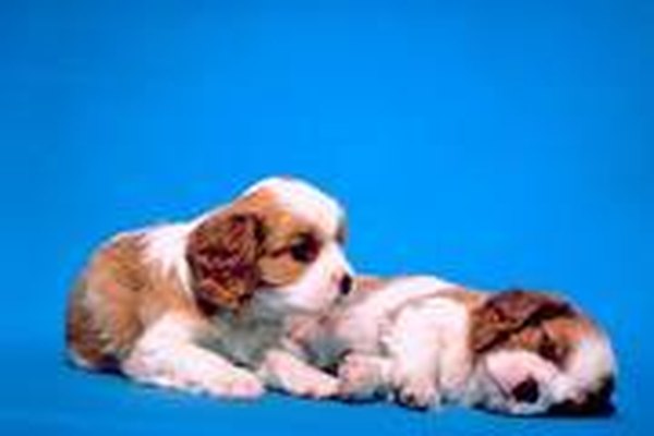 www.photos.com