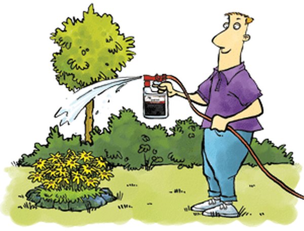 Spraying your yard in targeted areas is your best bet to remove fleas.