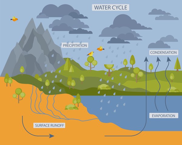 Here's how the water cycle looks in nature.