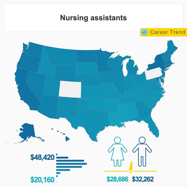 What does a Certified Nursing Assistant do?
