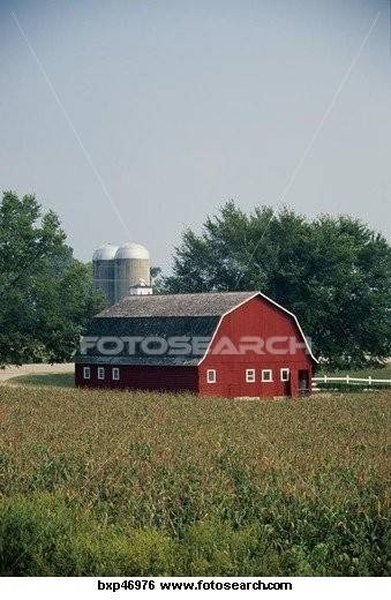 How To Build Eaves For A Barn Style Roof